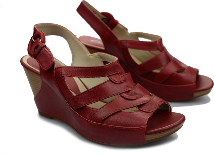 Clarks Silver Beech
