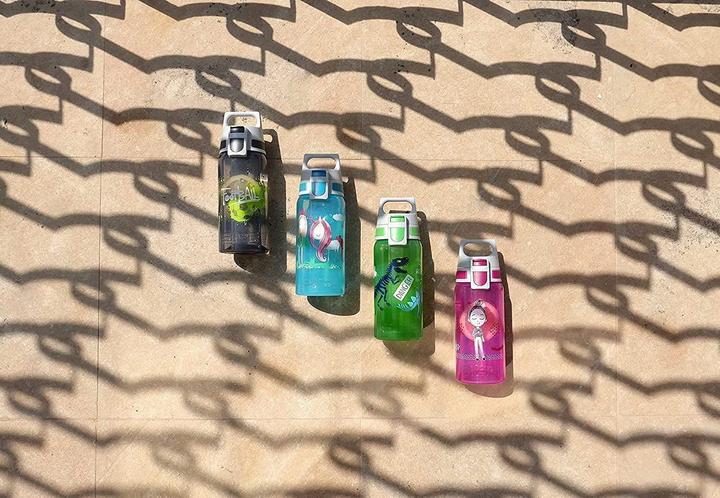 Image du produit Sigg Viva One (0.50 l)