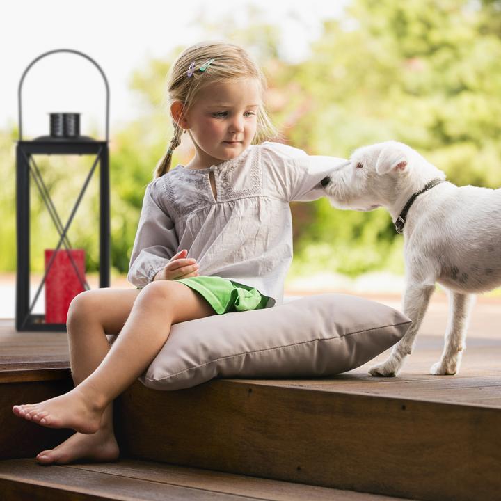 Image du produit Relaxdays Set de 3 lanternes (20 x 20 x 49,5 cm, 3 x)