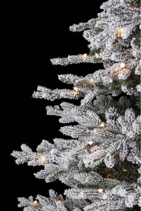 Actual product image STT Tree (180 cm)