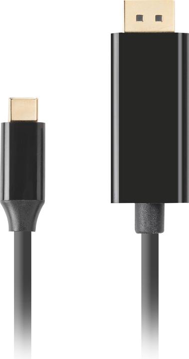 Produktbild Lanberg CA-CMDP-10CU-0005-BK video cable adapter USB Type-C DisplayPort Black (0.50 m, DisplayPort)