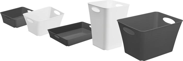 Immagine prodotto Rotho Livingbox (39,5 x 31 x 52,5 cm, 44 l)