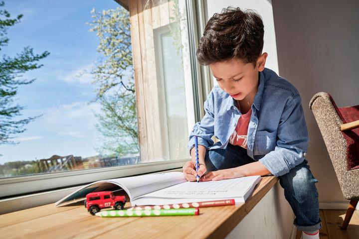 Produktbild STABILO Easycolors Linkshänder (Dunkelbraun, 1 x)