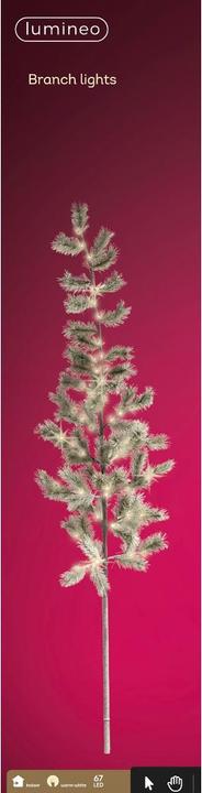 Produktbild Lumineo LED Zweig grün 25 x 30 x 180 cm