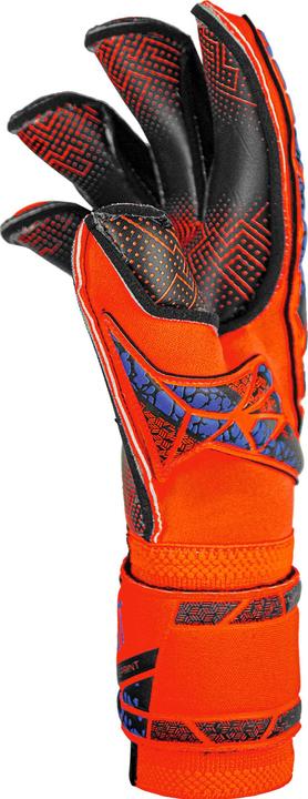 Image du produit Reusch Gant de gardien de but Attrakt Gold X - 10 (10)