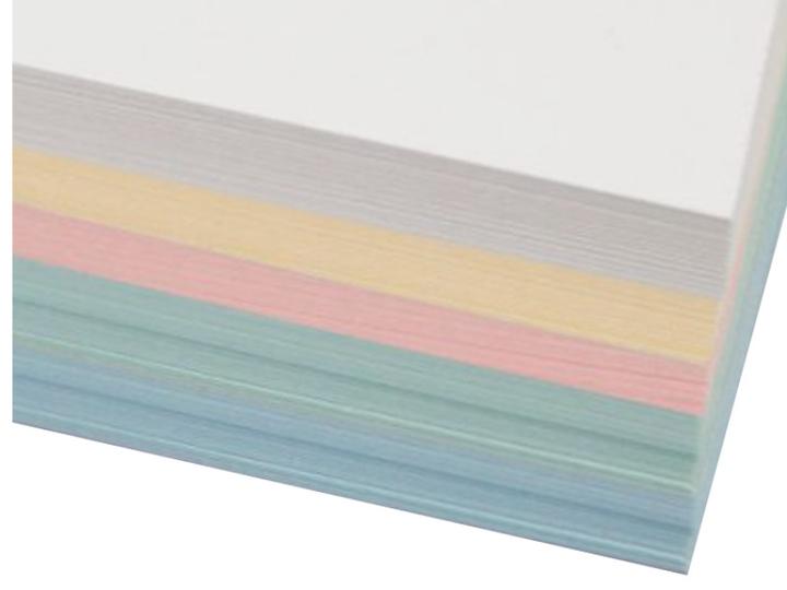 Exacompta Karteikarten blanko (105 x 148 mm, 205 g/m², 100 x)