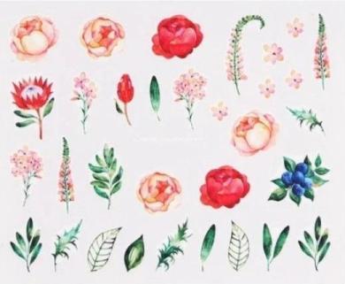 Nagellack24 Nail Art Sticker Wassertransfer 834