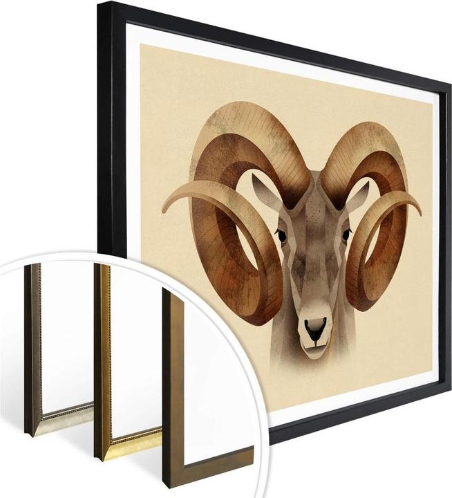 Image du produit Trenddeko Urial (50 x 40 cm)