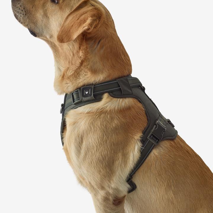 Immagine prodotto Solognac Pettorina per cani 500 Outdoor (S, Cane)