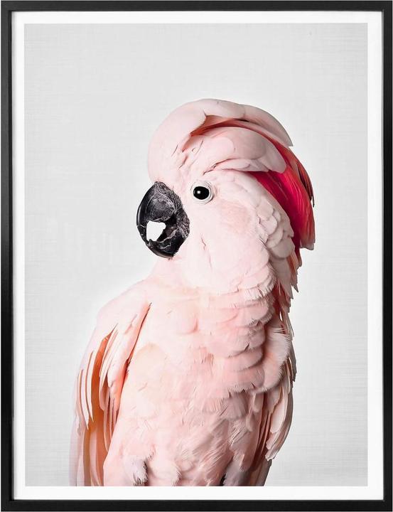 Produktbild Trenddeko Rosa Kakadu (30 x 40 cm)