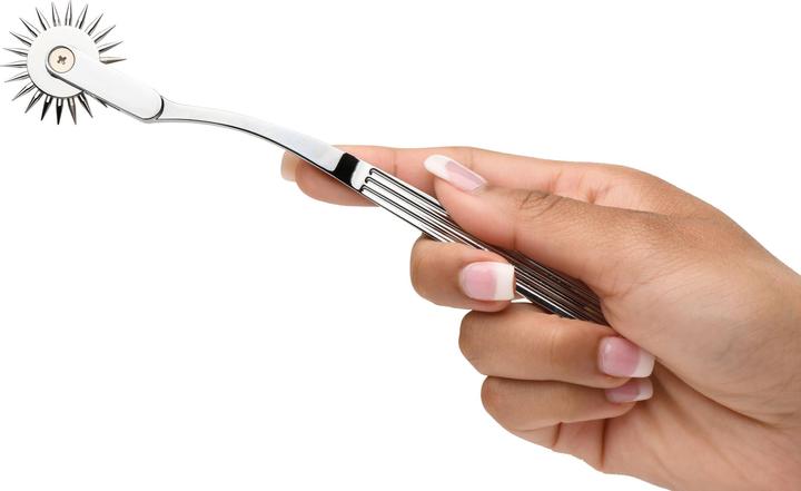 Actual product image Master Series XR Brands - Wartenberg Wheel - Silver