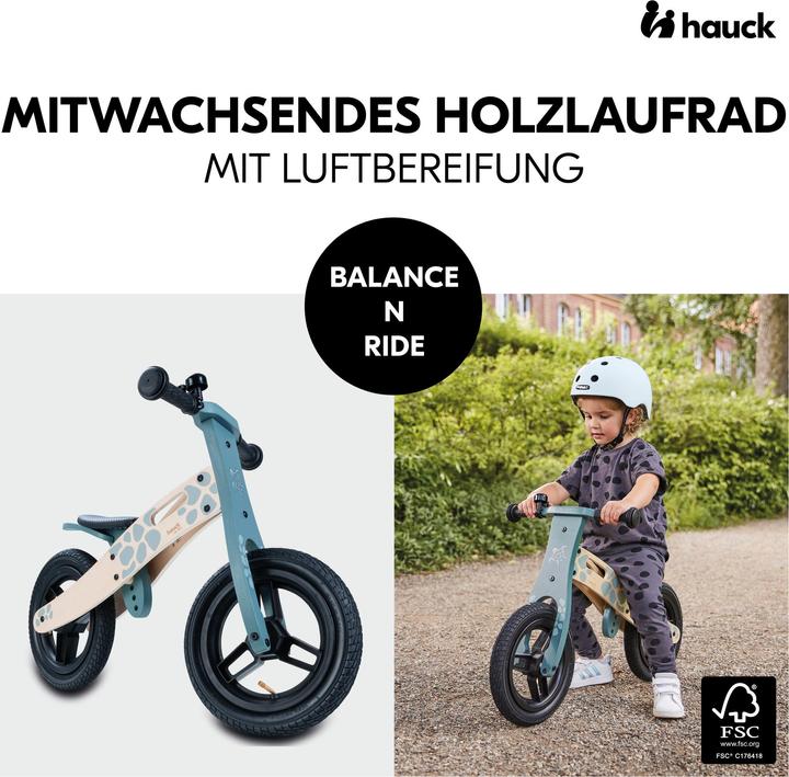 Actual product image Hauck Balance N Ride (12")