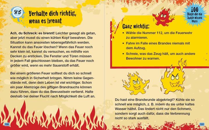 Immagine prodotto 100 Dinge die ein Junge wissen muss (Tedesco, Pino Filippo, 2013)