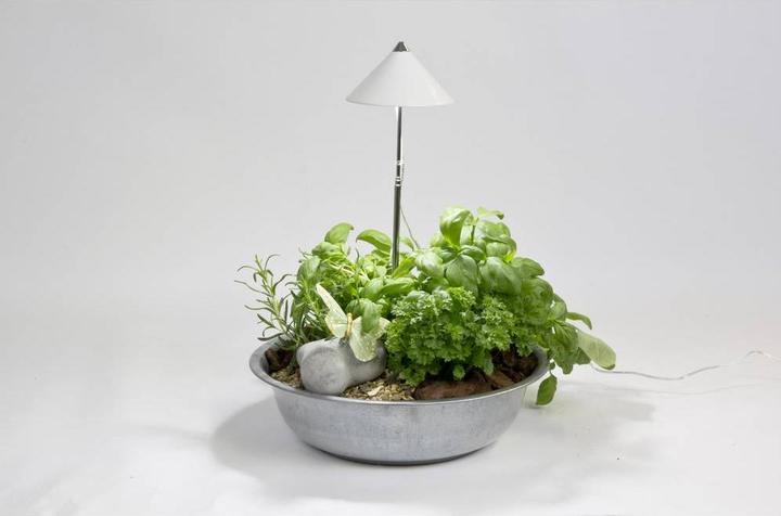 Colibri SUNLiTE blanc (LED, 230 V)