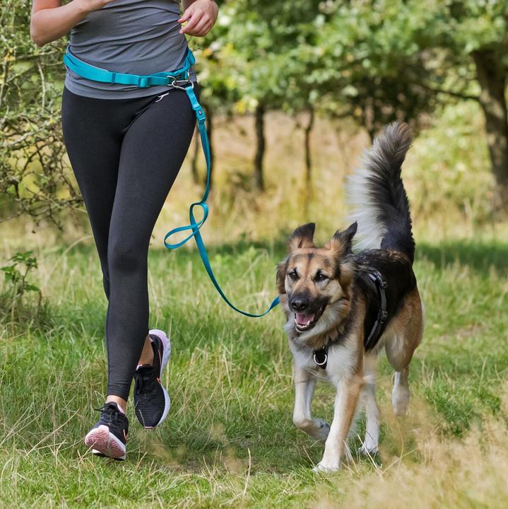 Productafbeelding Trixie Buikriem met riem (S, M, Hond, Joggen)