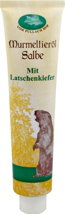 Axisis Pommade à l'huile de marmotte, 200 ml Pommade (Huile pour le corps, 200 ml)