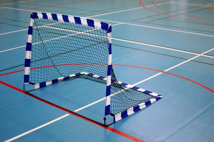 Actual product image Sport-Thieme Pop up handball goals