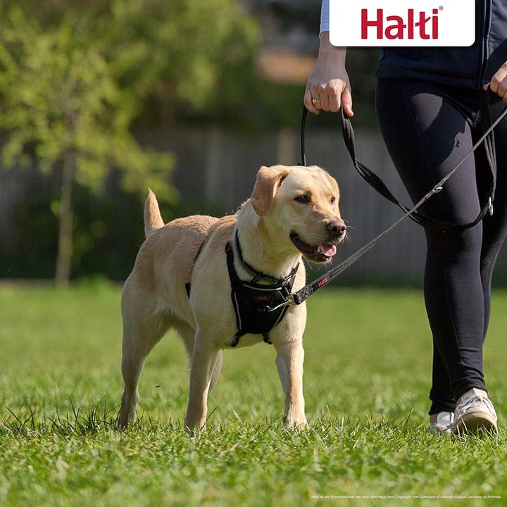 Immagine prodotto Halti Pettorina anti-trazione per cani (M, Cane, Generale)