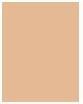 Produktbild Bourjois Healthy Mix Clean & Vegan Anti-Fatigue Concealer (51 Light Vanilla)