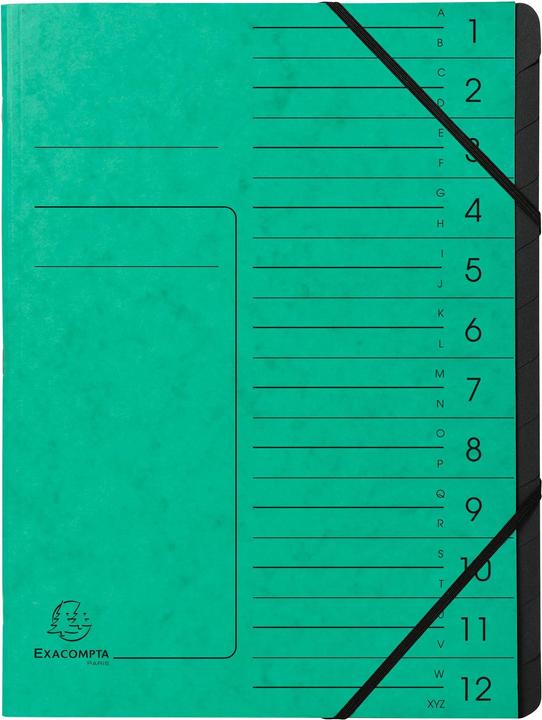 Actual product image Exacompta Stapled file folders (A4, 1 x)