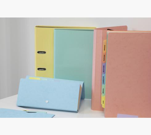 Actual product image Exacompta Ring binders (A4, 25 mm, 1 Piece)