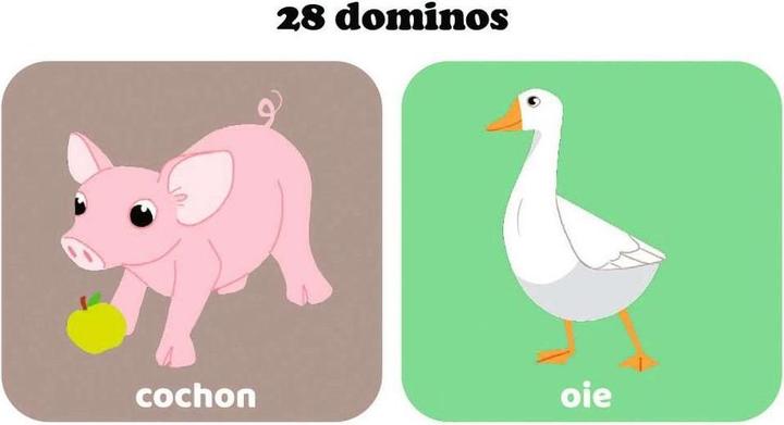 Actual product image Ravensburger Domino la ferme (French)