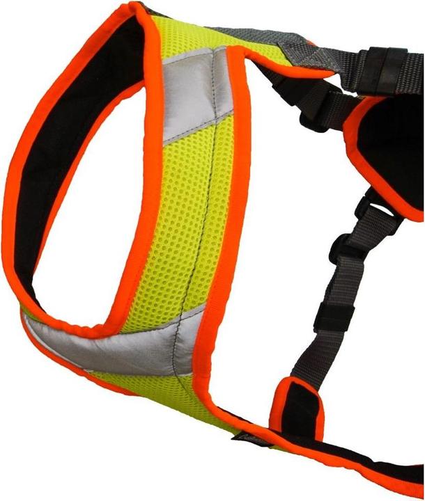 Actual product image Grossenbacher V-Mantrailing harness with reflector (XXS, Dog)