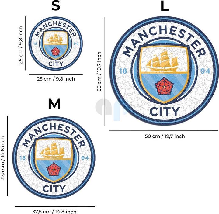Actual product image Iconic Man City FC - Logo - Wooden Puzzle Size M (270 pieces) (270 pieces)
