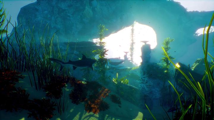 Image du produit Deep Silver Maneater (Xbox One X, Xbox Series X, FR)