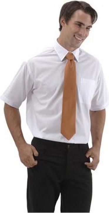 Image du produit Russell Collection Chemise manches courtes sans repassage (46)