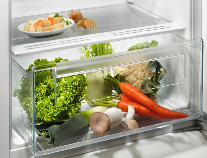 Image du produit Electrolux EK242SLSW (214 l)