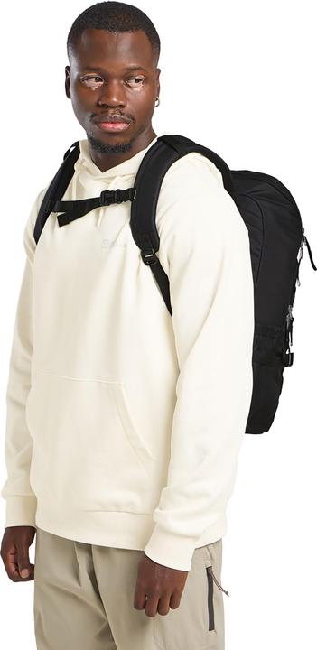 Actual product image Jack Wolfskin Lyall (28 l)