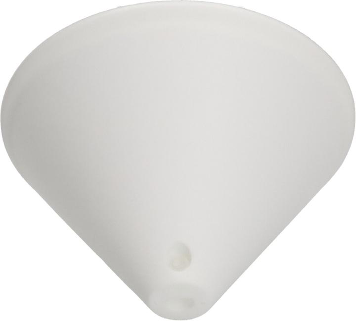 Max Hauri Canopy
