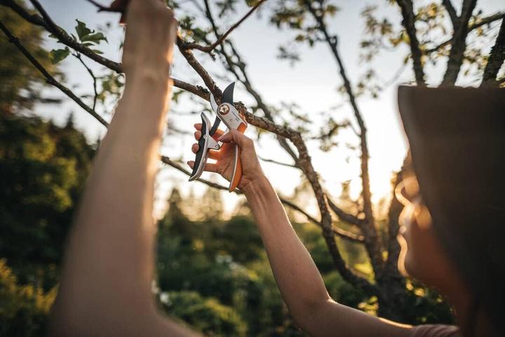 Productafbeelding Fiskars Plus PowerLever metalen snoeischaar met inklapbaar lemmet (P751)