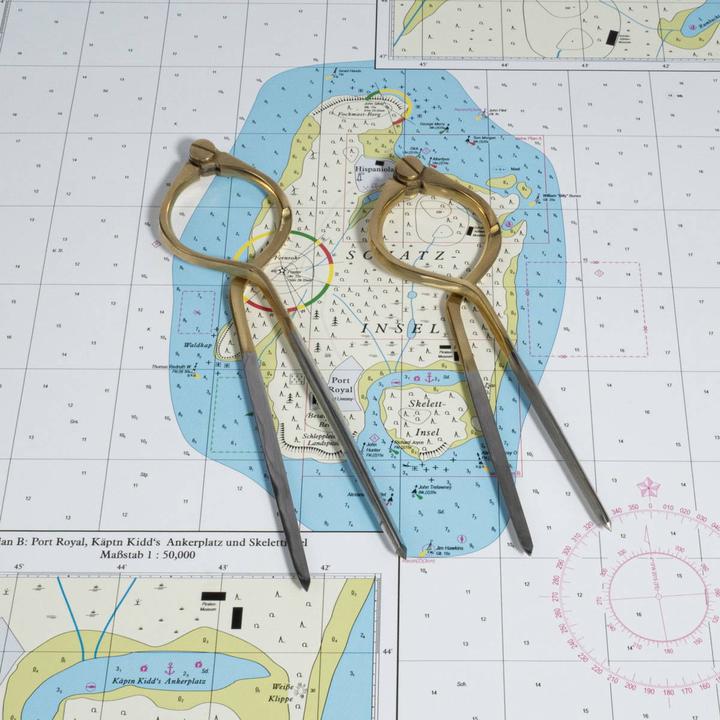 Actual product image Plastimo Brass card compass,200mm