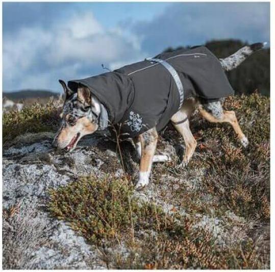 Actual product image Hurtta Winter Coat Extreme Warmer 2 (65, L, Dog coat)