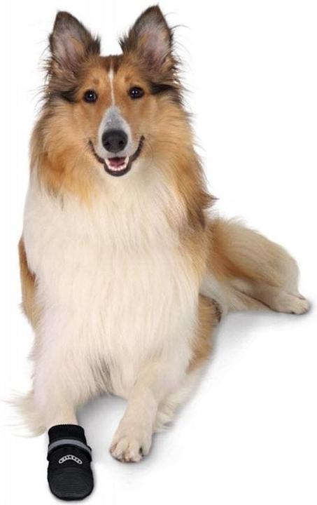Actual product image Trixie Paw protection Walker Care (M, Dog boots)