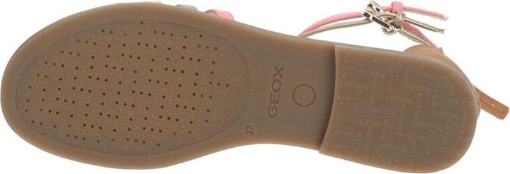 Actual product image Geox Sandalen (38)