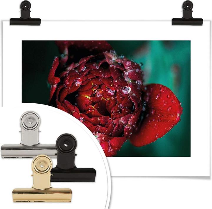Image du produit Trenddeko Pivoine après la pluie (30 x 24 cm)