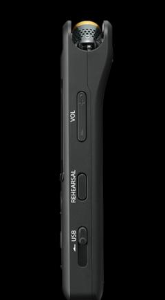 Actual product image Sony PCM-A10 (Handheld)
