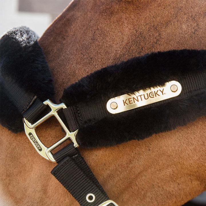 Produktbild Kentucky Horsewear gepolstertes halfter