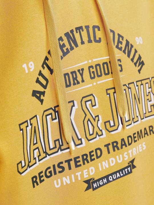 Actual product image Jack & Jones JJELOGO SWEAT HOOD 2 COL 24/25 NOOS (XXL)