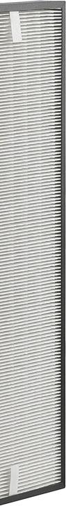 Actual product image Rowenta XD6070 Hepa Filter/PU4010 (1 x)