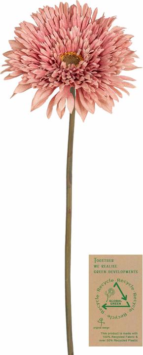 Botanic-Haus Artificial gerbera flower, dusky pink, 63 cm (63 cm)