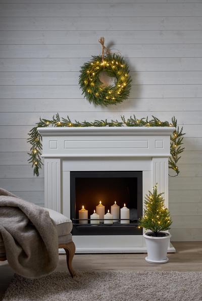 Produktbild Star Trading Thuja