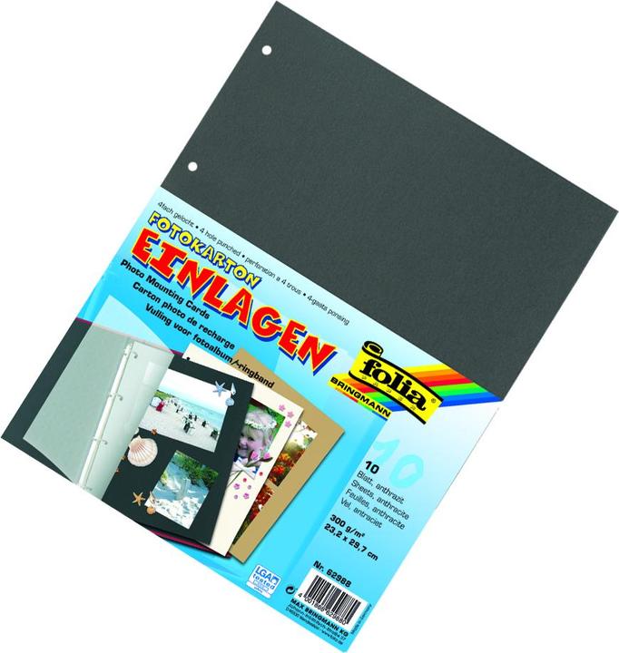 Produktbild Folia Fotokarton-Einlagen, 23,2x29,7cm, 4-fach gelocht