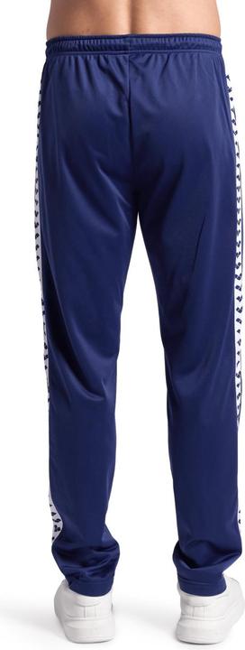 Actual product image Arena M Relax Iv Team Pant (L)