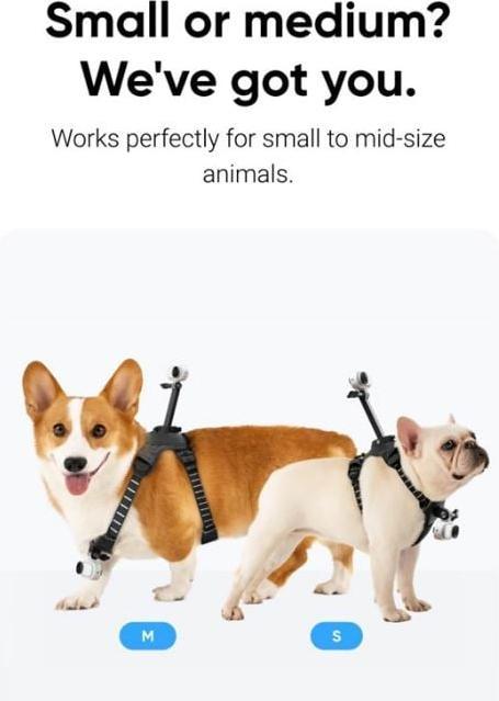 Image du produit Insta360 GO 3/GO 3S Pet Harness Mount Si (Aller 3)