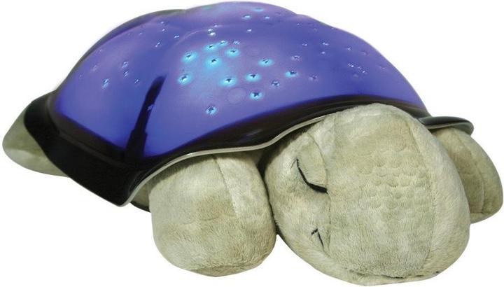 Actual product image Cloud B Twilight Turtle