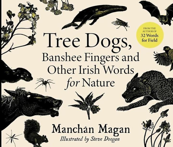 Produktbild Tree Dogs, Banshee Fingers and Other Irish Words for Nature (Englisch, Manchán Magan, Steve Doogan, 2021)